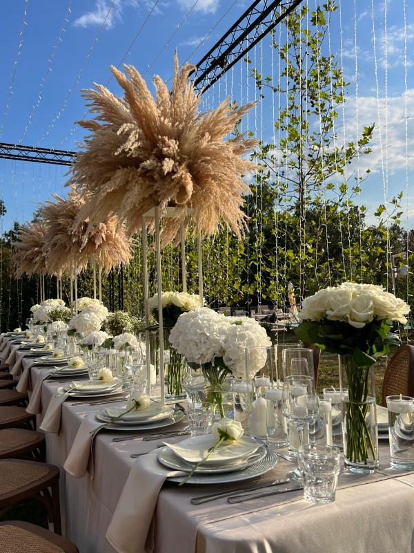 Hotel Hyde Hill / Bikini and Champagne